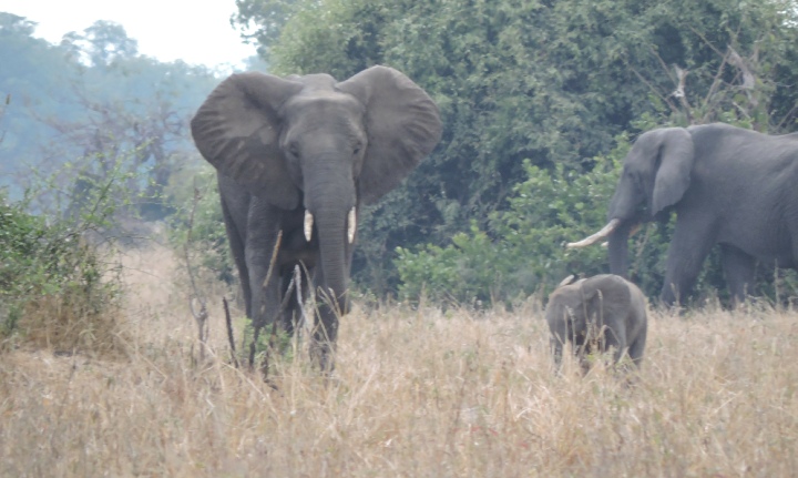 Hippo View Lodge