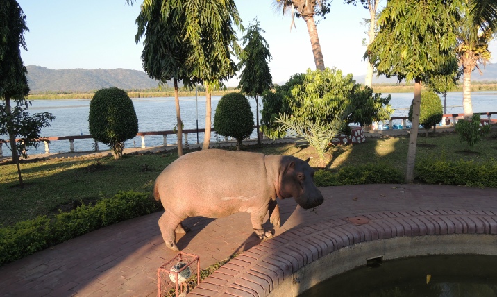 Hippo View Lodge