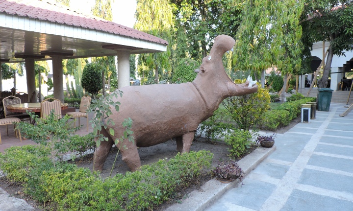 Hippo View Lodge