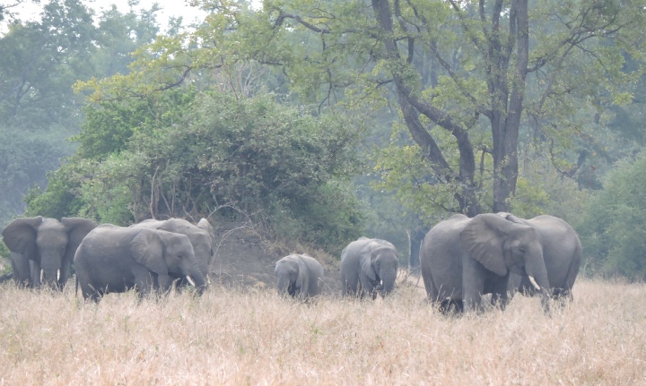 Kumbali Country Lodge